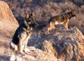 Thumbnail for version as of 14:15, 11 March 2010