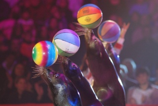 File:Cirque-Otarie-Jongler-Ballon-3711.jpg