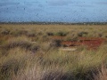 Thumbnail for version as of 09:04, 2 March 2012