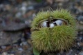 Thumbnail for version as of 19:43, 13 May 2013