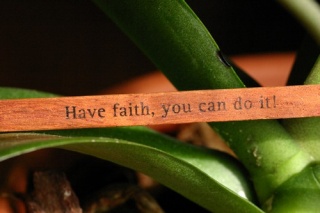 File:Have faith, you can do it!-7289.jpg