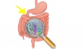 Thumbnail for version as of 07:14, 14 May 2014