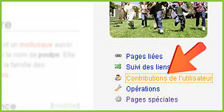 File:Contributions-utilisateur.jpg