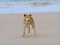 Thumbnail for version as of 04:49, 9 June 2013