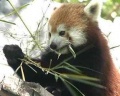 Thumbnail for version as of 16:34, 21 April 2010