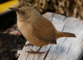 Thumbnail for version as of 12:04, 15 April 2014