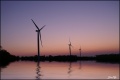 Thumbnail for version as of 09:00, 25 May 2010