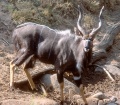 Thumbnail for version as of 01:58, 5 April 2014