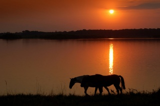 File:Tarde quente-984.jpg