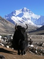 Thumbnail for version as of 16:22, 13 November 2009