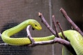 Thumbnail for version as of 17:50, 2 January 2012
