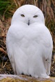 Thumbnail for version as of 13:14, 30 April 2012