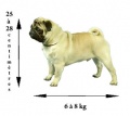 Thumbnail for version as of 10:39, 19 April 2010