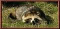 Thumbnail for version as of 13:12, 26 June 2014