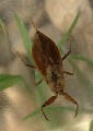 Thumbnail for version as of 13:53, 6 October 2014