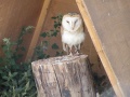Thumbnail for version as of 07:06, 30 May 2011