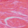 Thumbnail for version as of 08:46, 30 April 2014