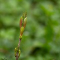 Thumbnail for version as of 19:21, 29 April 2014
