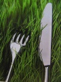 Thumbnail for version as of 09:49, 2 August 2012
