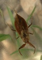 Thumbnail for version as of 12:44, 6 October 2014
