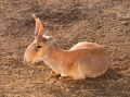 Thumbnail for version as of 22:39, 3 May 2010