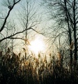 Thumbnail for version as of 21:06, 28 June 2011