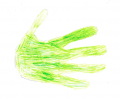 Thumbnail for version as of 06:15, 23 June 2015