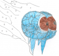 Thumbnail for version as of 06:18, 23 June 2015