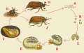 Thumbnail for version as of 17:31, 23 June 2010