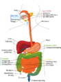 Thumbnail for version as of 11:01, 29 February 2016