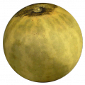 Thumbnail for version as of 18:07, 21 May 2013