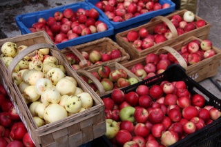 File:Apples-4246.jpg