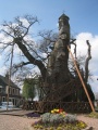 Thumbnail for version as of 16:35, 23 July 2012