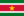 Drapeau-Suriname.png