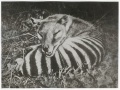 Thumbnail for version as of 09:26, 21 June 2013