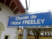 Che freeley.jpg
