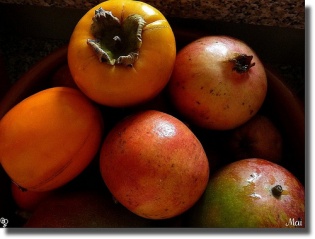 File:Mangue-823.jpg