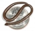 Thumbnail for version as of 17:25, 10 August 2012