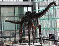 Thumbnail for version as of 15:14, 9 September 2009