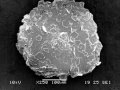Thumbnail for version as of 10:30, 24 April 2014