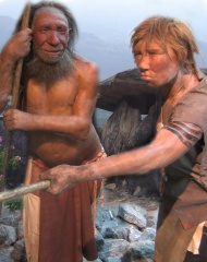 File:Homo neanderthalensis-homme de Néandertal.jpg
