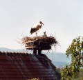 Thumbnail for version as of 09:06, 22 February 2012