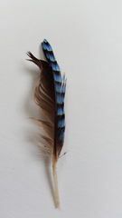 File:20161006 132627.jpg