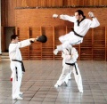 Thumbnail for version as of 08:06, 4 June 2012