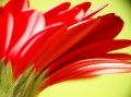 Thumbnail for version as of 11:17, 3 January 2012