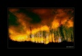 Thumbnail for version as of 10:48, 25 December 2011
