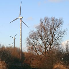File:Éoliennes-eoliennes-5208.jpg