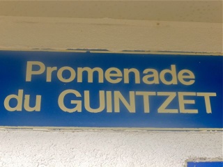 File:Prom guin.jpg
