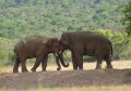 Thumbnail for version as of 13:18, 27 May 2014