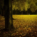 Thumbnail for version as of 09:50, 24 July 2012